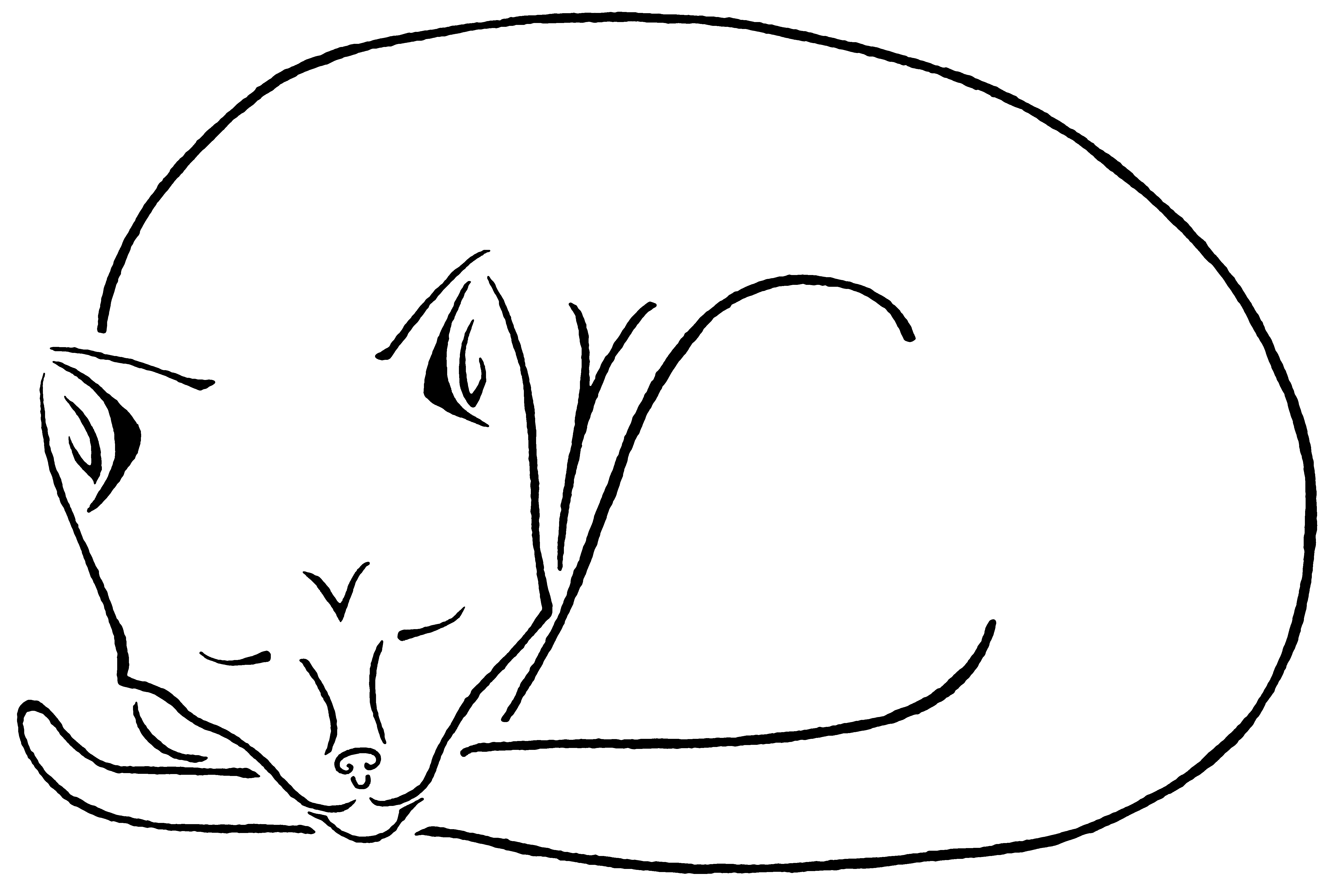 sleeping kitty cat design